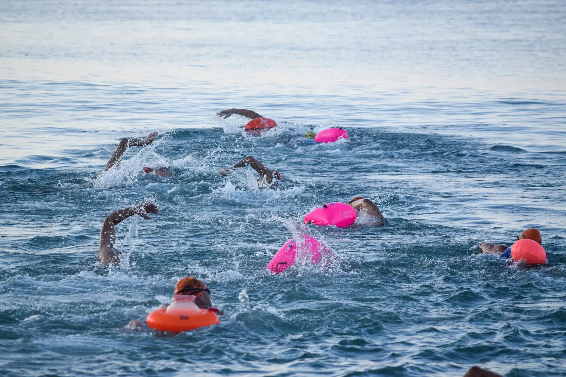 IRONSWIM gallery 1